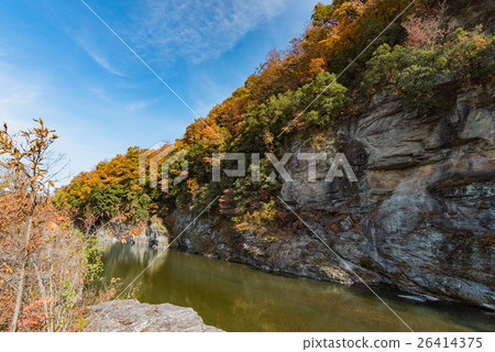 Nagaoki Autumn leaves of autumn 26414375