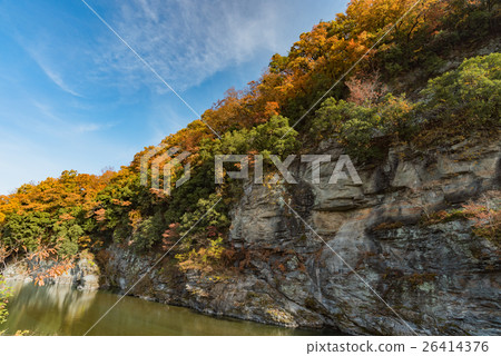 Nagaoki Autumn leaves of autumn Nagaoki Autumn leaves of autumn 26414376