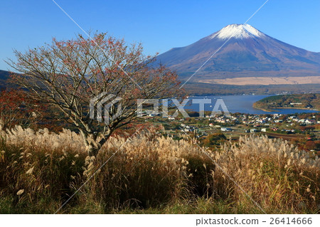 Mount Fuji and Yamanakako seen from Mt. 26414666