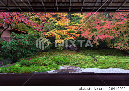 Autumn leaves in Kyoto 26416021