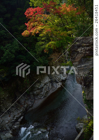 A gorge that starts autumn leaves (Tokijima Prefecture Kiyoyori Honpukawa) 26418451