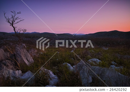 秋吉台的黎明 26420292