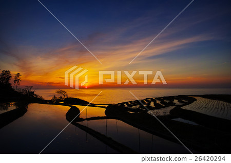 白米Senjita日落 26420294