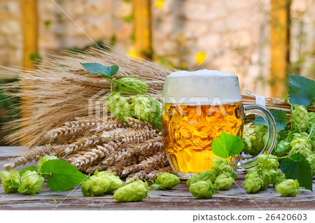 still life with beer glass and hop cones 26420603