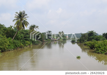 tropical river 26420828