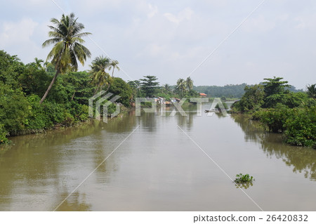tropical river 26420832