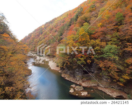 Autumn leaves in the reclining valley Autumn leaves in the reclining valley 26421145