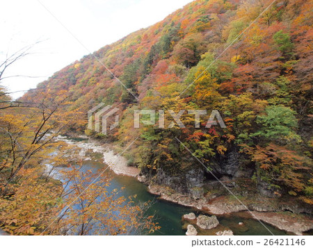 Autumn leaves in the reclining valley Autumn leaves in the reclining valley 26421146