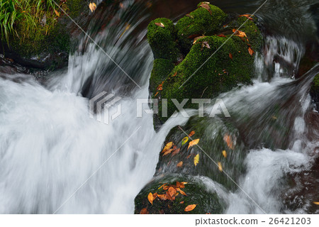 廣島縣帝國峽谷（廣島縣莊原市的帝國試煉） 26421203