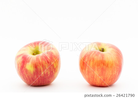 Apple(分類:Honey Crisp):Honeycrisp Apple Apple(分類:Honey Crisp):Honeycrisp Apple 26421790