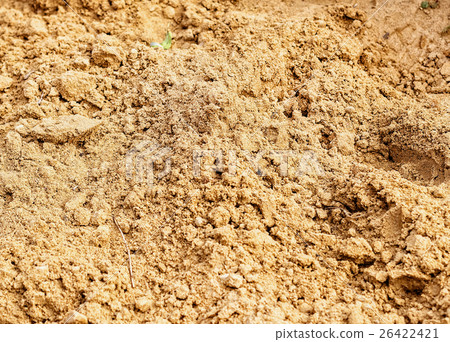 Wet nice sand Wet nice sand 26422421