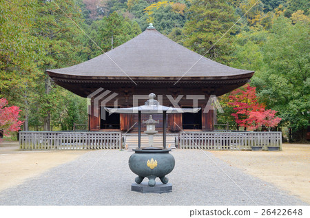 Fall of Amidado ~ 2016 Fall of Amidado ~ 2016 26422648