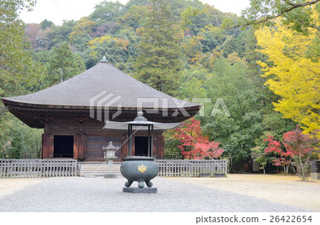 阿米達多的秋天〜2016年 26422654