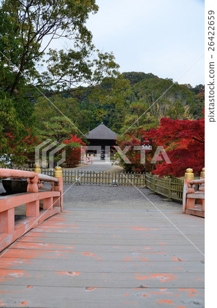 阿米達多的秋天〜2016年 26422659