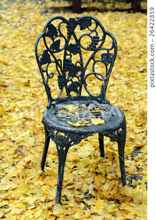 Gingko and chair 3 Gingko and chair 3 26422859