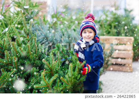 beautiful smiling little boy holding christmas beautiful smiling little boy holding christmas 26422865