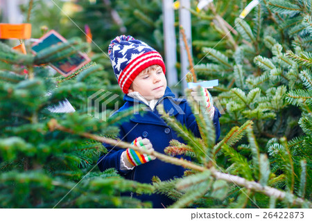 beautiful smiling little boy holding christmas beautiful smiling little boy holding christmas 26422873