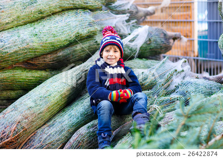 beautiful smiling little boy holding christmas beautiful smiling little boy holding christmas 26422874