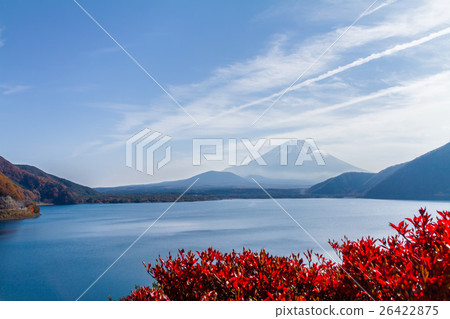富士山湖秋 富士山湖秋 26422875