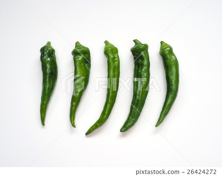 Manshakuji紅辣椒 26424272