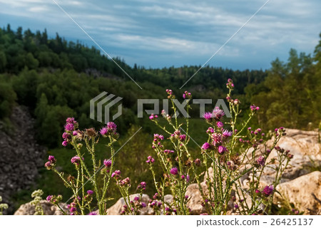 Mountain landscape in Dagestan 26425137