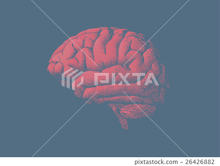 Engraving tint red brain on blue background Engraving tint red brain on blue background 26426882