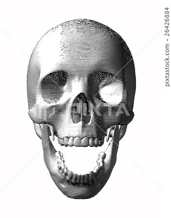 Engraving skull isolated on white background 26426884