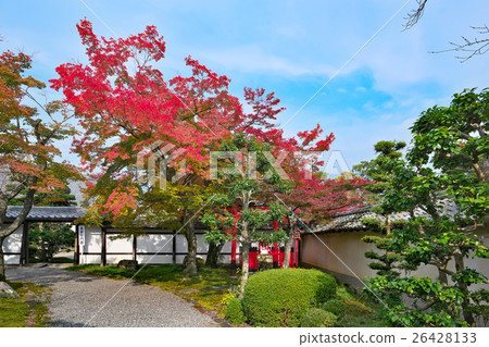 Autumn leaves of Hiei Sakamoto 26428133