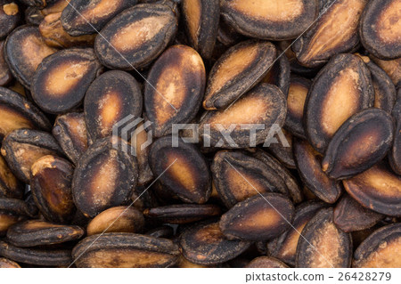 Watermelon seeds: Watermelon seeds Watermelon seeds: Watermelon seeds 26428279