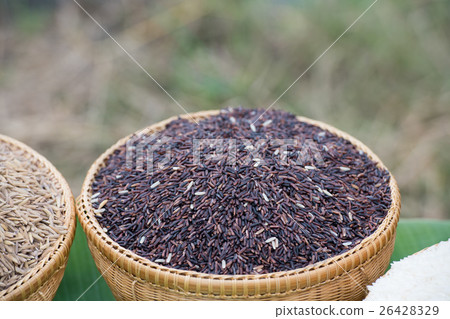 Black jasmine rice. 26428329