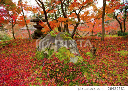 Kyoto Eikyudo in autumn Kyoto Eikyudo in autumn 26429581