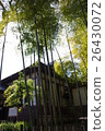 足利學校的竹子 26430072