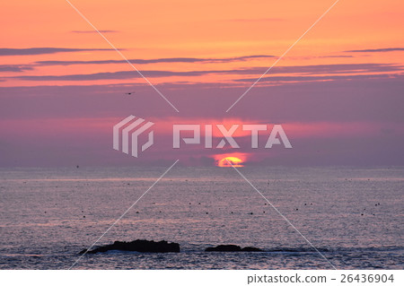 Sunrise Sunrise 26436904