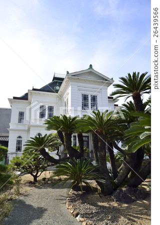 柳川風景花 26439566