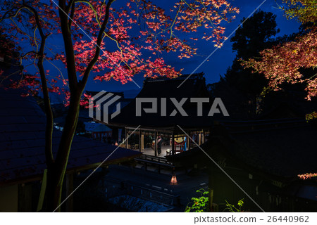 Kyoto Kameoka Izumo Shrine Light Up Kyoto Kameoka Izumo Shrine Light Up 26440962