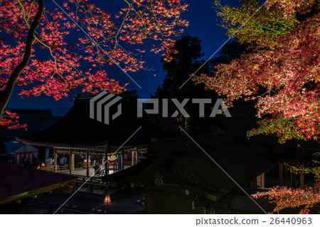 Kyoto Kameoka Izumo Shrine Light Up 26440963