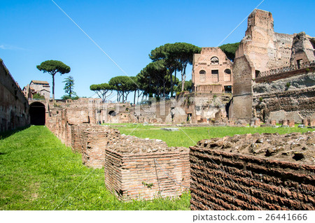 the ruins of the Stadium on the Palatine Hill,Rome 26441666