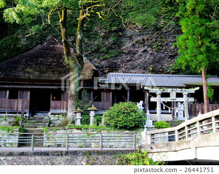 Ten'nentera 26441751