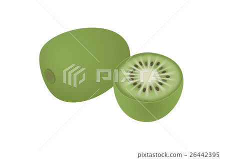 Baby Kiwi Stock Illustration