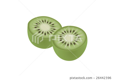 Baby Kiwi Stock Illustration