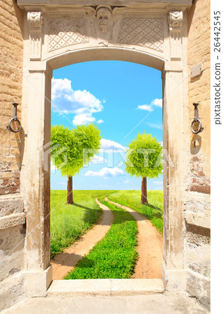 Heart shape trees Heart shape trees 26442545