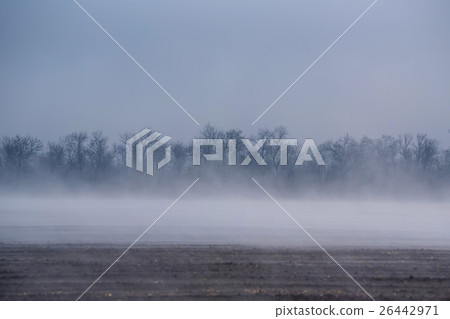 Morning fog over freshly plowed field 26442971