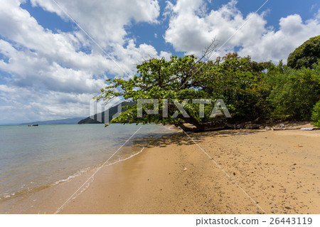 Beautiful dream paradise beach, Madagascar 26443119