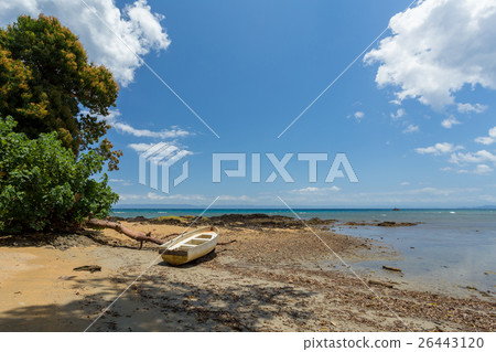 Beautiful dream paradise beach, Madagascar Beautiful dream paradise beach, Madagascar 26443120