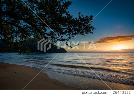 Beautiful dream paradise beach, Madagascar 26443132