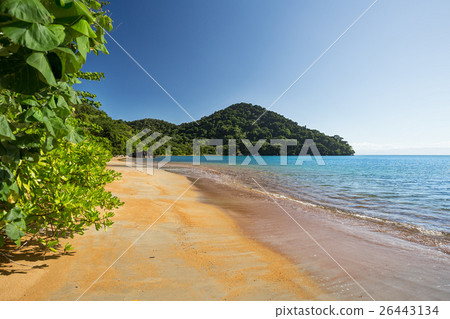 Beautiful dream paradise beach, Madagascar 26443134
