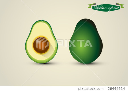 graphic design vector of half avocado graphic design vector of half avocado 26444614