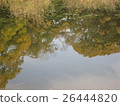 秋天天江邊·水面的反射 26444820