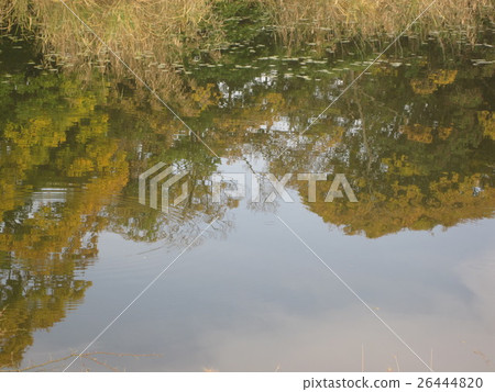 秋天天江邊·水面的反射 26444820