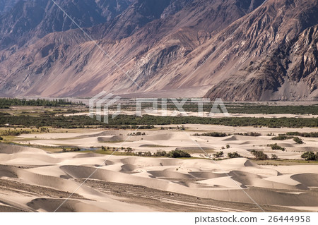 Sand dunes in Himalayas Sand dunes in Himalayas 26444958